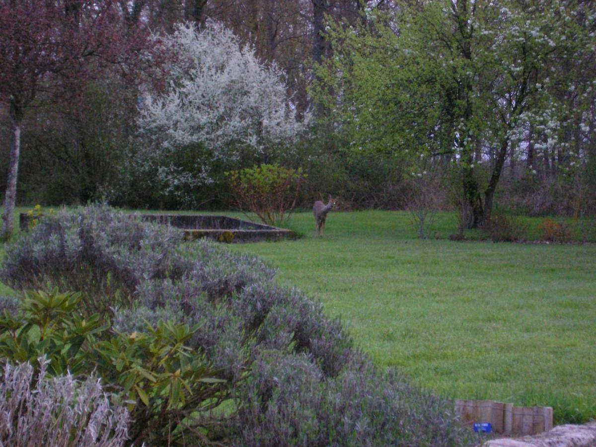 Les Sapins 4* Vitry-aux-Loges